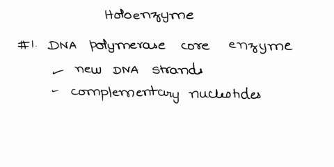the-holoenzyme-consists-of-2-dna-polymerase-core-enzymes-single-sliding-clamp-loader-complex-two-sliding-clamp-56806