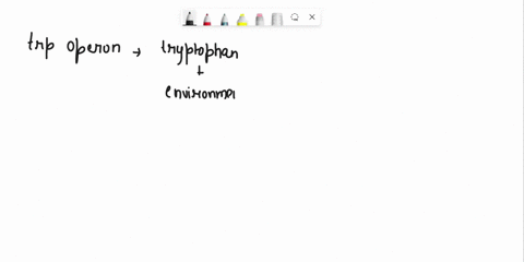 in-the-trp-operon-tryptophan-in-the-environment-acts-as-an-inducer-increasing-transcription-as-the-repressor-protein-to-inactivate-the-repressor-protein-increasing-transcription-to-activate-01167
