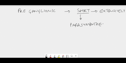 which-system-contains-short-preganglionic-axons-that-branch-extensively-somatic-nervous-system-sympathetic-nervous-system-parasympathetic-nervous-system-91085