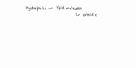 the-cell-membrane-is-made-up-of-a-lipid-bilayer-as-shown-in-the-model-structure-of-the-cell-membrane-with-the-lipid-bilayer-labeled-one-side-of-the-membrane-is-labeled-outside-of-cell-the-ot-58764