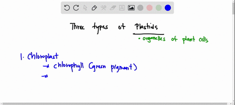 name-the-three-types-of-plastids-found-in-plant-cells-74265