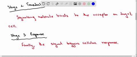 explain-how-chemical-messengers-communicate-their-signals-to-target-cell-compare-and-contrast-the-general-features-of-signal-transduction-via-intracellular-receptors-and-extracellular-recept-68212