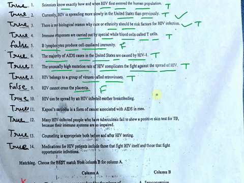lecrenit-exctl-hiv-tirsl-cnlatcd-1e1ti4n-jupui4zi-cuncr-ore1ding-riotc-eoxt-alc-united-sraterihan-nrviousy-thcte-biolozica-ieason-by-ethunicin-ghnn-nsk-fzctors-hiv-infection-imnuine-rcsponie-41538