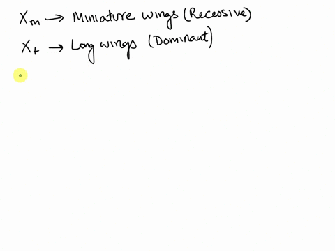 miniature-wings-xm-in-drosophila-result-from-an-x-linked-allele-that-is-recessive-to-the-allele-for-long-wings-x-a-give-the-genotypes-of-the-parents-in-the-following-cross-male-parent-female-11801