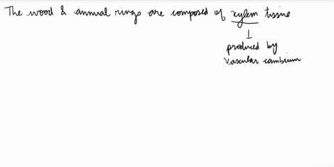 1-in-many-tree-species-the-wood-and-annual-rings-are-actually-layers-of-__________-grown-by-the-vascular-cambium-a-xylem-b-bark-c-cuticle-d-endoderm-2-the-mutualistic-associations-or-symbiot-25438