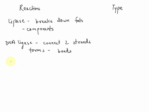 categorize-each-of-the-following-scenarios-as-either-an-endergonic-or-exergonic-reaction-lipase-is-an-enzyme-that-breaks-fats-down-into-their-component-parts-fatty-acids-and-glycerol-dna-lig-24443