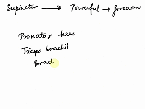 besides-the-supinatorwhich-other-muscle-is-a-powerful-supinator-of-the-forearm-1point-pronator-teres-triceps-brachii-brachialis-biceps-brachi-pronator-quadratus-66321
