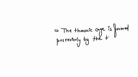 the-thoracic-cage-is-formed-by-all-of-these-structures-except-a-the-ribs-and-intercostal-spaces-on-either-side-b-the-sternum-and-costal-cartilages-in-front-c-inferiorly-it-is-separated-from-the-abdome