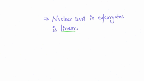 identify-the-dna-you-extracted-whether-is-most-likely-to-be-nuclear-dnamitochondrial-dna-or-chloroplastic-dna