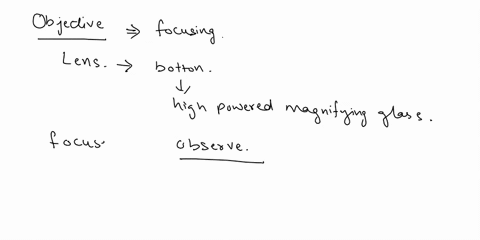 name-lab-7-microscope-pre-lab-questions-student-id_-biol-1406-section-which-objective-shaulo-andys-9-an-heret-when-locusing-microscope-microscope-adjusts-ina-amount-iight-passing-through-epe-76357