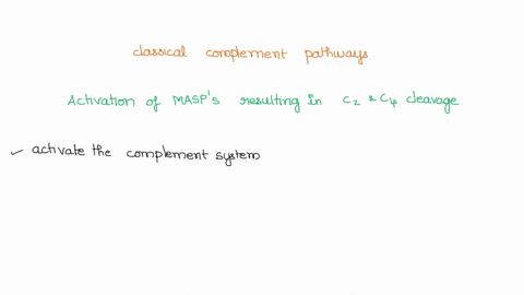 which-of-the-following-is-not-involved-in-the-classical-complement-pathway-group-of-answer-choices-formation-of-c3-convertase-via-c4b-c2a-formation-of-a-membrane-attack-complex-activation-of-54284