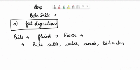 17-decreased-levels-of-bile-salts-in-the-bile-would-interfere-with-a-protein-digestion-b-fat-digestion-c-digestion-of-disaccharides-d-digestion-of-complex-carbohydrates-e-digestion-of-vitami-97253