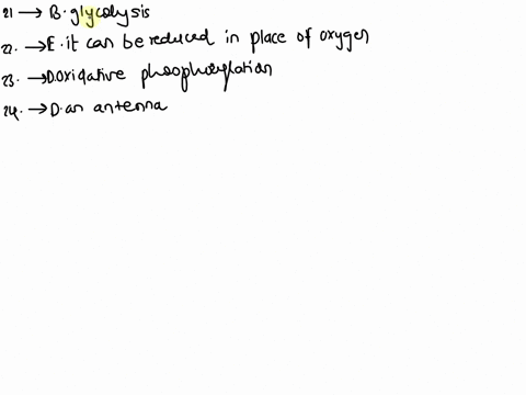 which-of-the-following-metabolic-pathways-occurs-in-both-aerobic-and-anaerobic-metabolism-the-ditric-acid-cycle-elycolysis-oxidative-phosphorylation-chemiosmosis-electron-transpart-chain-22-02913