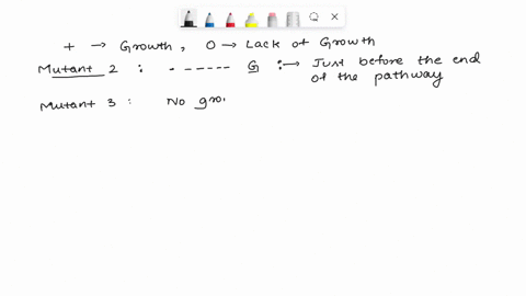 six-mutants-are-isolated-all-of-which-require-compound-g-for-growth-the-compounds-a-e-in-the-biosynthetic-pathwey-to-g-are-known-but-their-order-in-the-pathway-is-not-known-each-compound-is-59389