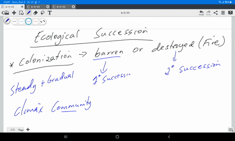 2-tco11-what-is-ecological-succession-explain-the-process-of-succession-after-a-forest-fire-94749