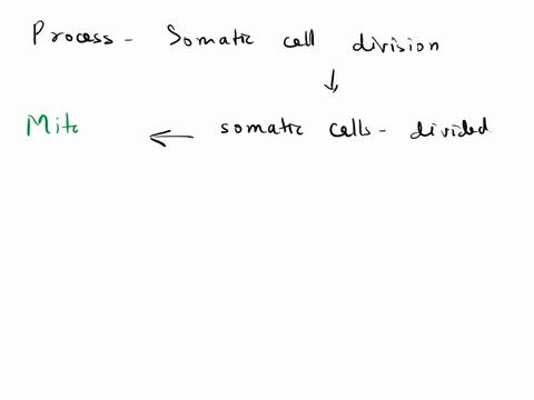 when-tissue-is-healing-cells-are-created-to-replace-the-damaged-cells-that-can-no-longer-carry-out-their-functions-correctly-what-is-the-process-of-somatic-cell-division-75492