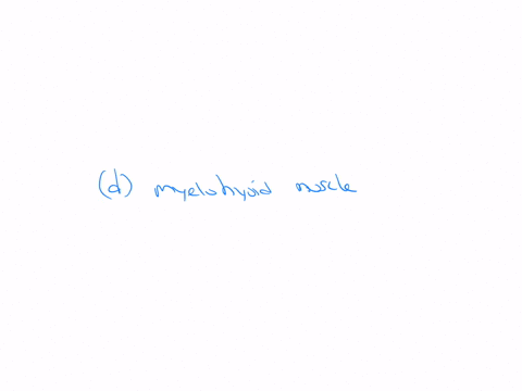 all-of-the-following-muscles-are-infrahyoidal-muscle-except-a-sternothyroid-muscle-b-sternohyoid-muscle-c-thyrohoid-muscle-d-myelohoid-muscle-e-omohyoid-muscle