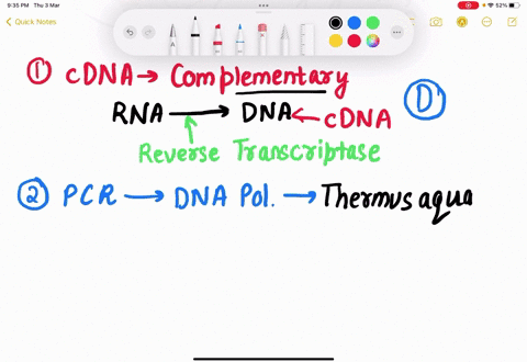 question-10-for-cdna-synthesis-which-of-the-following-enzymes-is-required-dicer-dna-poll-rna-pol-reverse-transcriptase-question-pcr-uses-dna-polymerase-from-human-cells_-is-ihe-statement-tru-93325