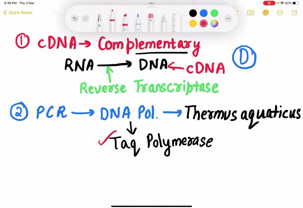 SOLVED: Question 12 Cyclic AMP is a type of nucleotide. True False ...