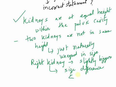 which-of-the-following-is-not-true-about-the-anatomy-of-the-urinary-system-multiple-choice-the-kidneys-are-retroperitoneal-the-ureters-connect-the-kidneys-to-the-urinary-bladder-the-urethra-97288