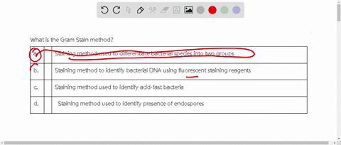 what-is-the-gram-stain-method-a-staining-method-used-to-differentiate-bacterial-species-into-two-groups-b-staining-method-to-identify-bacterial-dna-using-fluorescent-staining-reagents-c-stai-77508