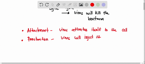 which-is-the-correct-order-of-events-in-the-lytic-cycle-of-a-bacteriophage-attachment-integration-biosynthesis-maturanon-release-integration-penetration-biosynthesis-maturaton-release-attach-06466
