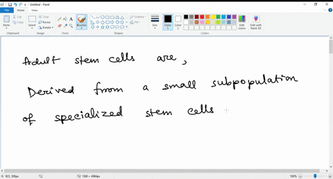 embryonic-stem-cells-have-been-very-controversial-because-they-destruction-of-fertilized-embryos-adult-require-the-use-and-cells-are-stem-cells-overcome-this-issue-adult-stem-cells-in-an-adu-47733