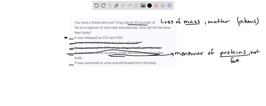 SOLVED: List the major levels of classification in order from the most ...