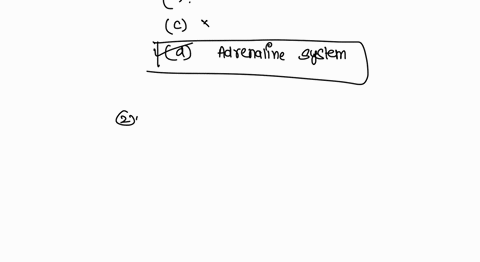 paper-1-there-are-three-basic-energy-system-except-one-a-anerobic-a-lactic-system-c-aerobic-system-b-anaerobic-lactic-system-d-adrenaline-system-2-it-is-an-energy-system-that-requires-high-a-34106