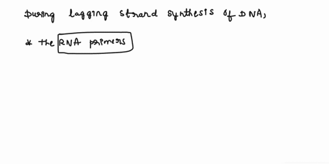 question-25-during-lagging-strand-synthesis-of-dna-the-rna-primers-are-replaced-with-dna-by-__________-dna-polymerase-i-dna-polymerase-ii-dna-polymerase-iii-primase-11034