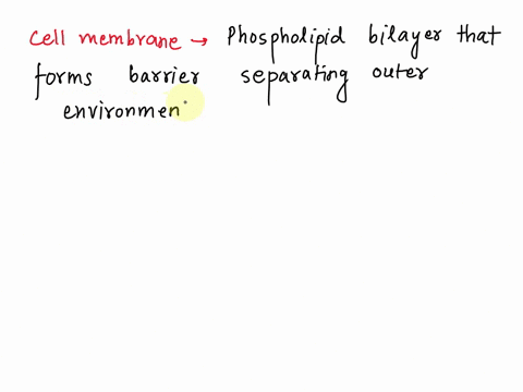 proteins-forming-pores-in-the-cellular-membranes-are-implicated-in-transport-of-hydrophobic-substances-transport-of-hydrophilic-substances-cellular-motility-adhesion-of-bacteria-to-host-surf-58214