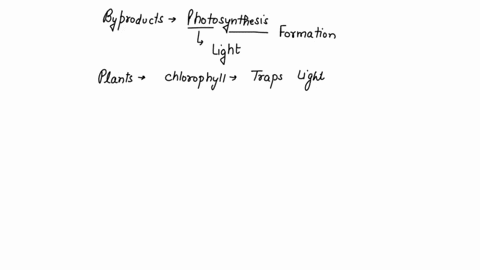 please-help-asap-what-gas-is-produced-as-a-byproduct-during-photosynthesis-a-carbon-dioxide-b-oxygen-c-nitrogen-14011