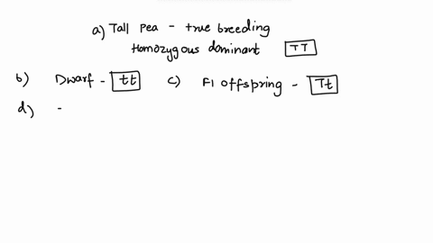 a-true-breeding-tall-pea-plant-is-crossed-with-a-true-breeding-dwarf-pea-plant-all-of-the-f1-offspring-are-tall-1a-what-is-the-genotype-of-the-tall-parent-1b-what-is-the-genotype-of-the-dwar-80929