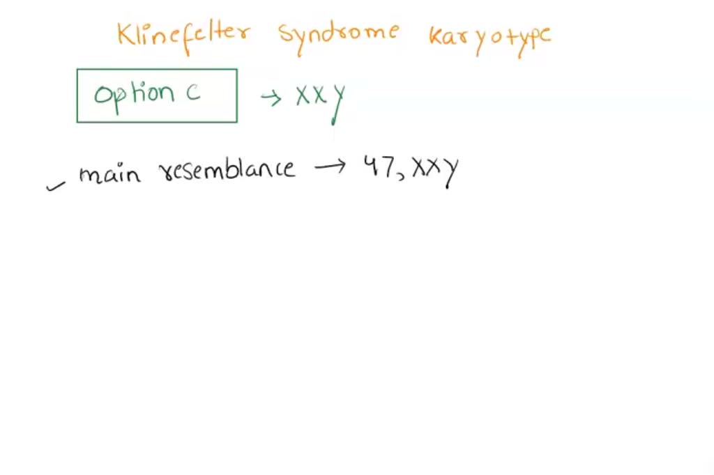 Www Xxx Xxy Video - SOLVED: In humans, Klinefelter syndrome is caused by what sex chromosome  karyotype? Group of answer choices XXX X XXY XYY