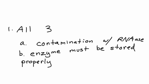 6-focus-deciphering-a-commercial-all-in-one-kit-living-cells-synthesize-thousands-of-different-rna-molecules-from-thousands-of-genes-however-in-the-lab-it-is-possible-to-synthesize-a-lot-of-14975