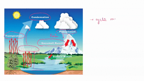 SOLVED: 'Pa help po please need help Direction: Complete the following  sentences by choosing the correct word for each gap from the box below The Water  Cycle The evaporates from lakes and