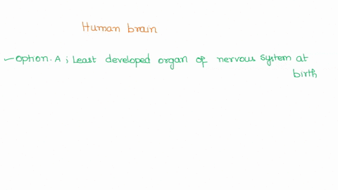 which-of-the-following-is-true-about-the-human-brain-multiple-choice-0273-it-is-the-least-developed-organ-of-the-nervous-system-at-birth-develops-at-an-evon-pace-rather-than-in-fits-_-und-st-09655