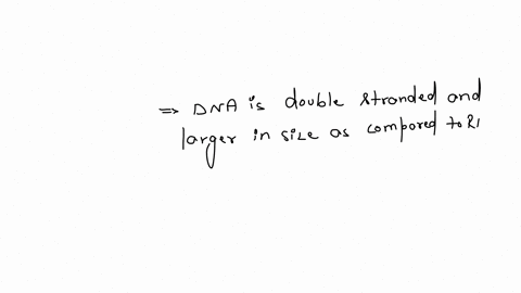 deoxyribonucleic-acid-dna-encodes-information-used-to-assemble-proteins-qquad-stranded-deoxyribose-sugar-no-hydroxyl-at-2-carbon-atcg-nitrogenous-bases-more-stable-qquad-size-ribonucleic-acid-rna-invo