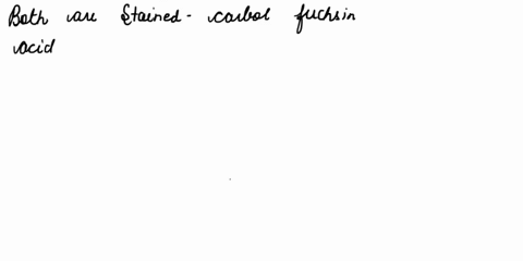 as-discussed-previously-the-cell-walls-of-acid-fast-bacteria-are-extremely-hydrophobic-due-to-large-amounts-of-mycolic-acid-so-they-repel-the-basic-dyes-used-for-most-staining-procedures-for-70035