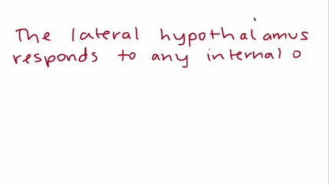 what-is-the-function-of-lateral-hypothalamus-29786