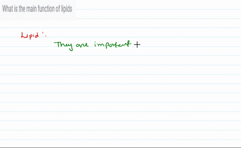 what-is-the-main-function-of-lipids-83297