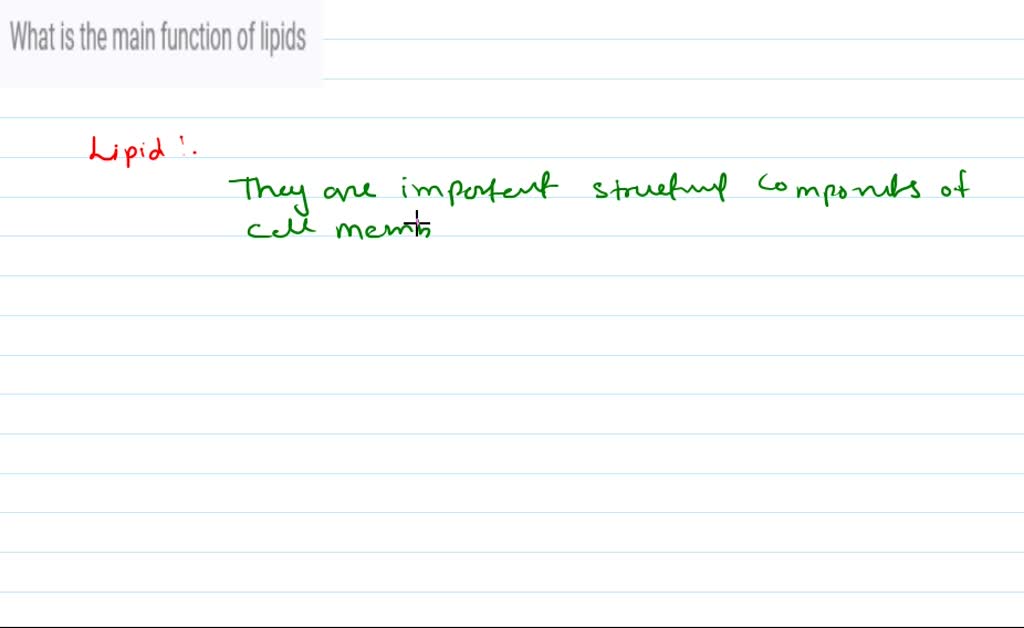 Primary Function Of Lipids