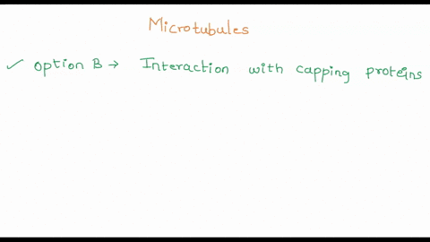 stability-of-microtubules-is-accomplished-by-a-phosphorylation-of-microtubules-b-interaction-with-capping-proteins-c-growth-of-microtubules-from-gamma-tubulin-ring-complexes-d-degradation-of-49995