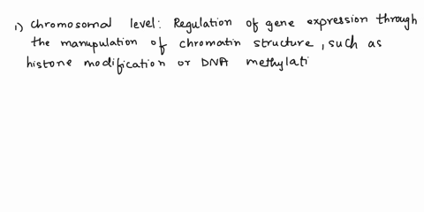 please-helpi-please-use-the-following-terms-and-describe-how-each-works-to-control-protein-expression-chromosomal-level-transcription-mrna-transcript-mrna-degradation-translation-blockage-pr-84504