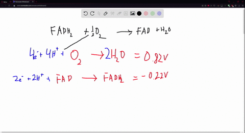 calculate-the-standard-free-energy-change-for-the-reaction-fadh2-1202-fad-hzo-given-that-the-standard-reduction-potential-for-the-reduction-of-oxygen-to-water-is-082-v-and-for-the-reduction-65157