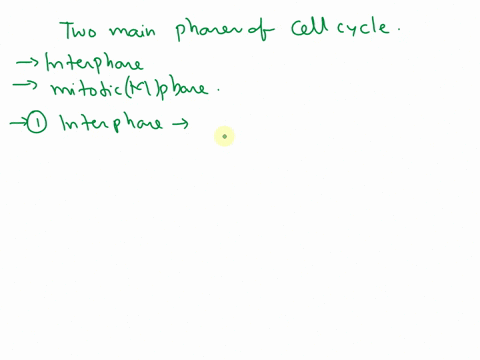 describe-the-two-main-phases-of-the-cell-cycle-77997