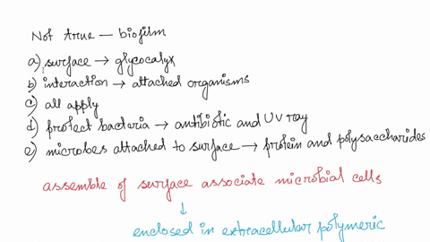 which-of-the-following-does-not-apply-to-biofilm-a-surface-structures-such-as-glycocalyx-contribute-to-the-formation-of-biofilm-b-interactions-occurs-among-the-attached-organisms-within-the-19465