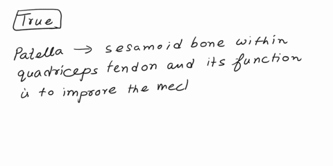 the-patella-displaces-the-quadriceps-tendon-posteriorly-increasing-its-moment-arm-and-improving-its-mechanical-advantage-is-this-statement-true-or-false-27918