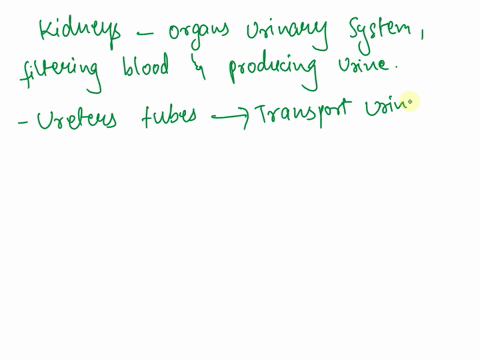 the-urinary-system-consists-of-the-kidneys-ureters-bladder-and-urethra-and-primarily-functions-to-remove-waste-products-from-the-blood-and-excrete-them-out-of-the-body-the-urinary-system-als-36529