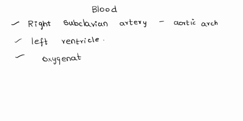 whcrc-docs-blood-in-the-right-subclavian-attery-cone-from-blood-from-the-left-subclavian-artery-flows-into-what-vesscl-as-it-moves-toward-the-left-arm-3-blood-in-thc-radial-artery-comcs-from-22398